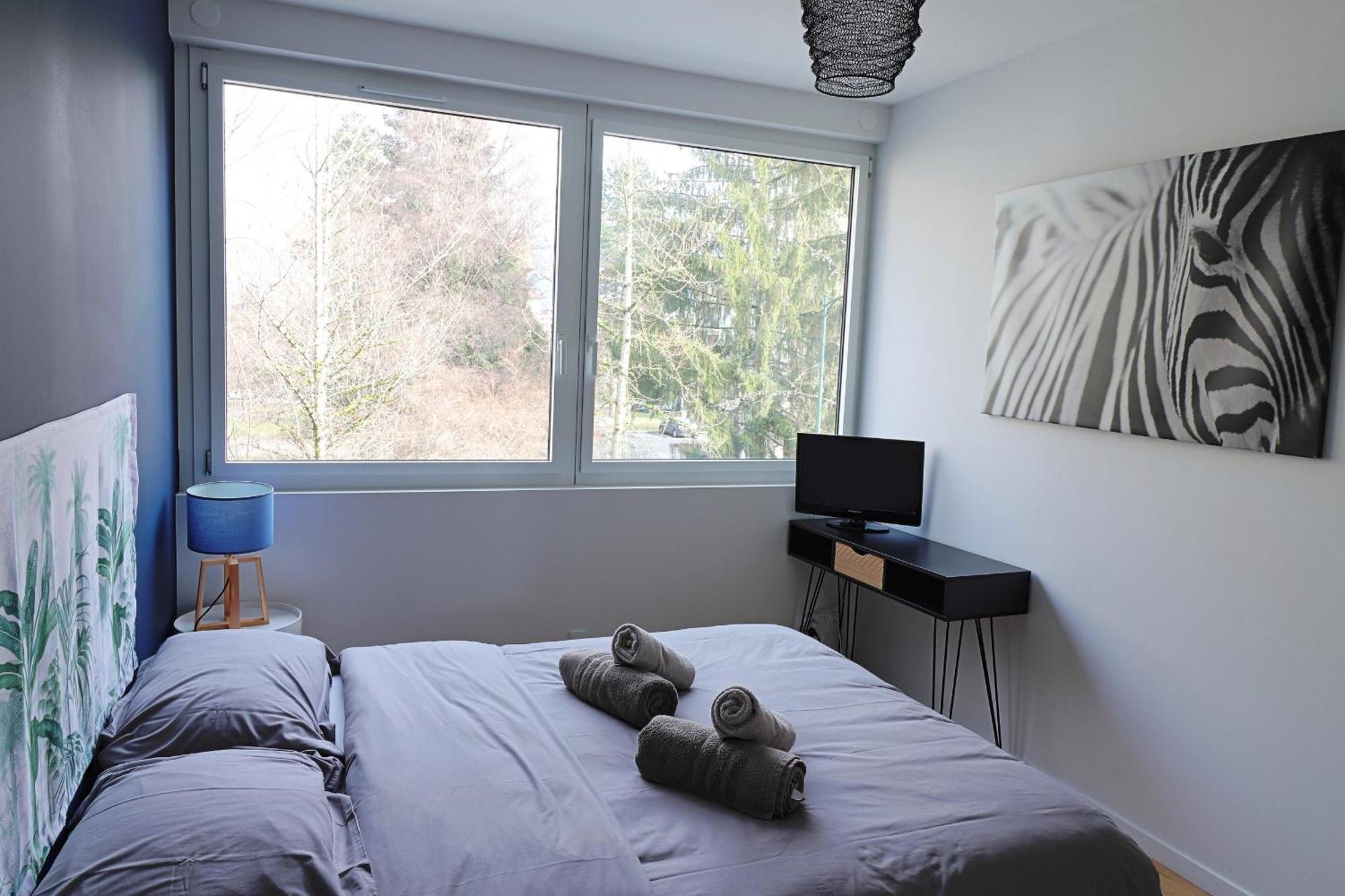 Coup De Coeur Appartement Lumineux, Calme Et Cosy Άννεσι Εξωτερικό φωτογραφία